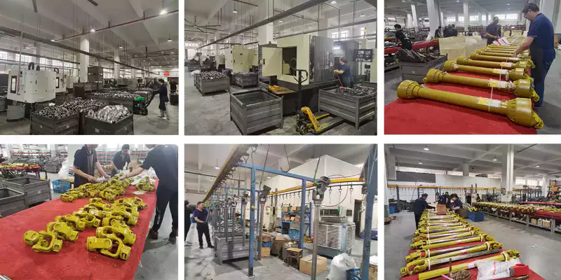 EVER-POWER GROUP Industrial Plastic Gears