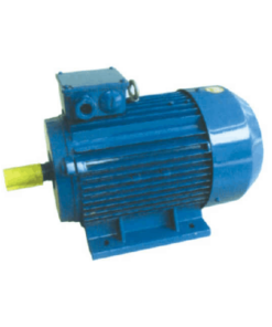 Y2 series Motors