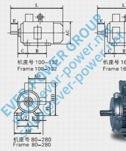 Synchronous Motor