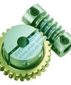 worm and gear