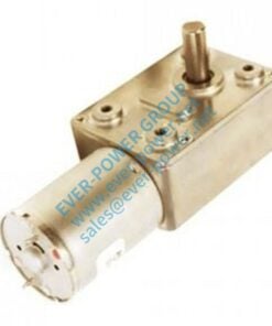 micro worm gear