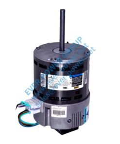 Variable Speed Motor