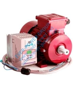 Variable Drive Motor