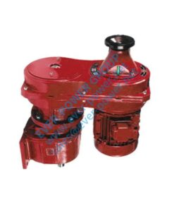 Variable Speed Gear Motor