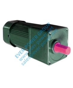 Variable Speed Electric Motor