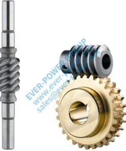 worm gear set