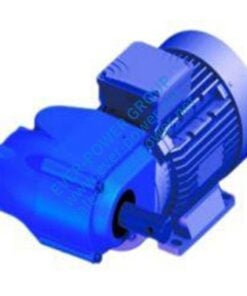 Worm Wheel