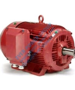 AC indukcijski motor