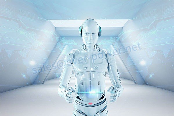 Humanoid Robot