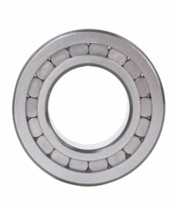 Single Row Full Complement Cylindrical Roller Bearings
