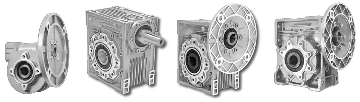Bonvario Worm Gearbox Replacement