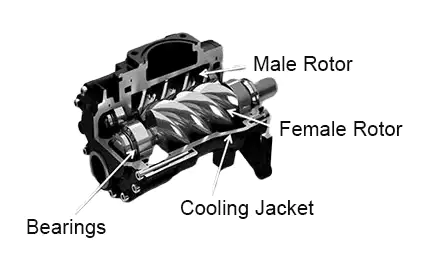 Screw Compressor