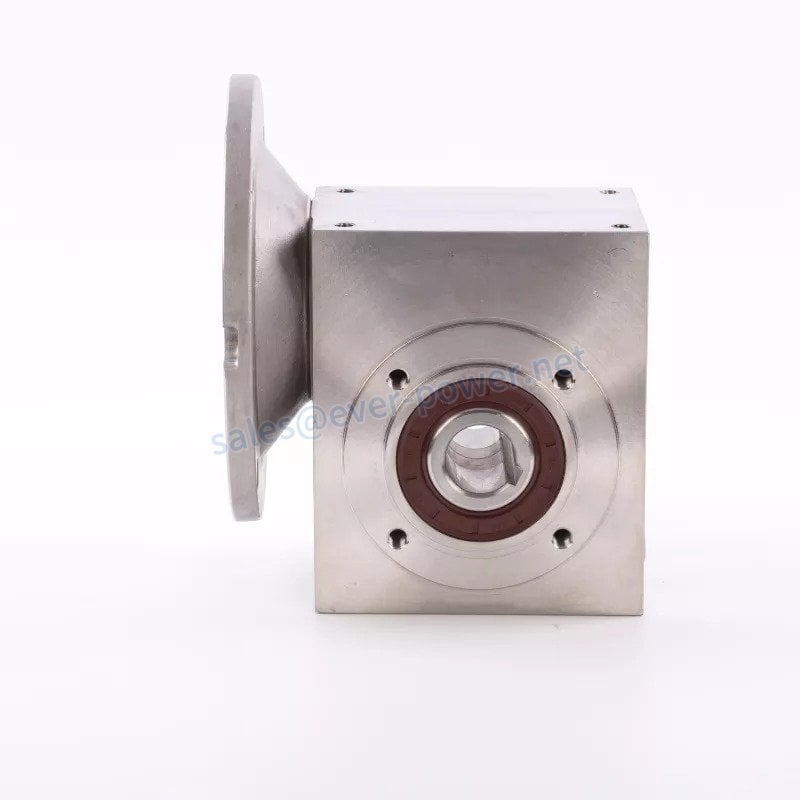 Stainless Steel Worm Reducer