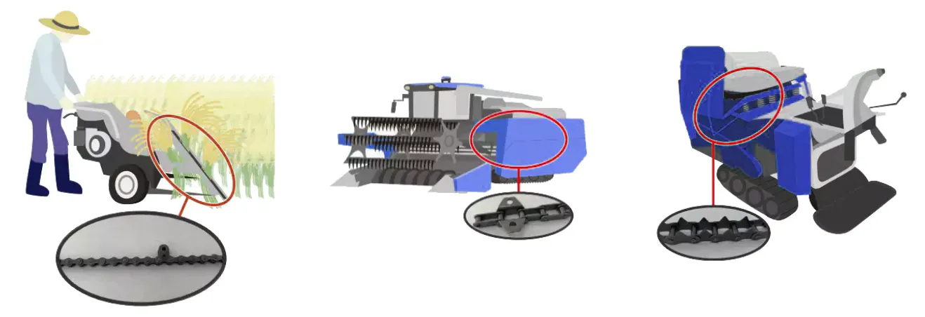 Agricultural Chain Applications