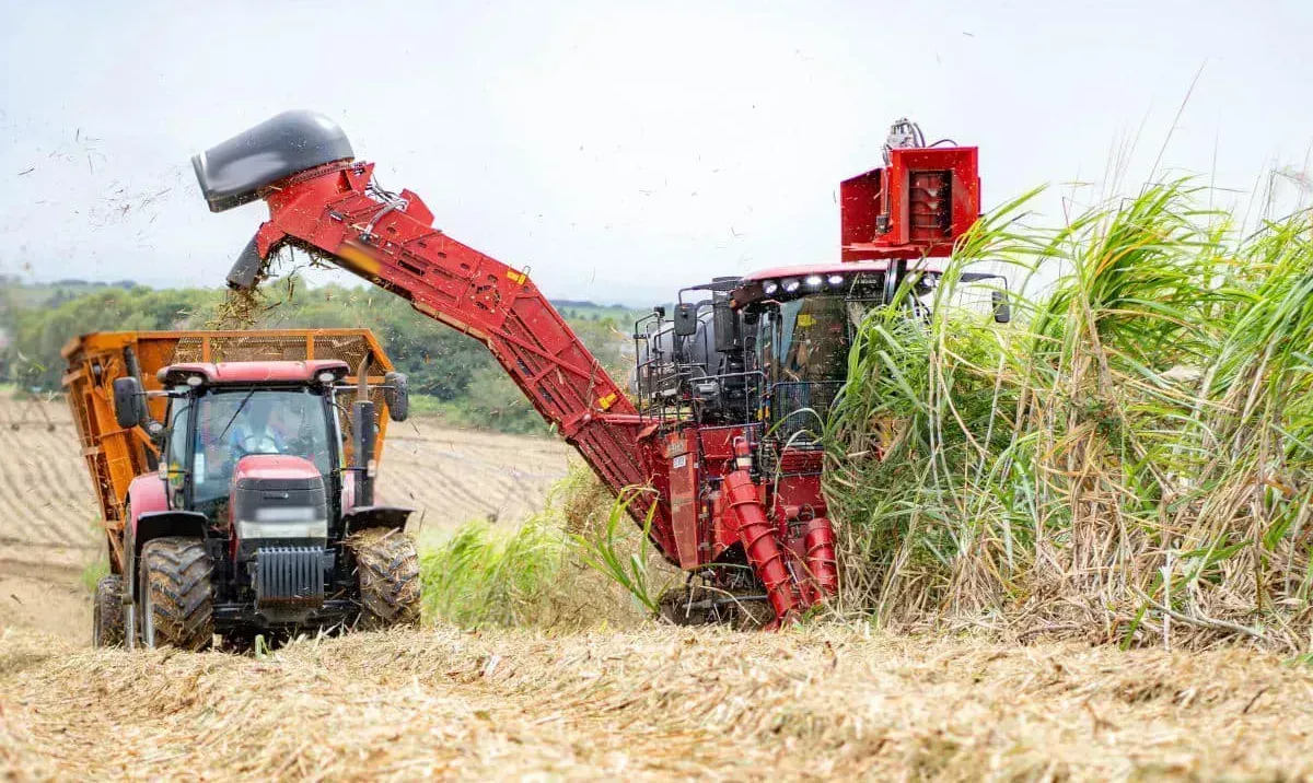 S51 Roller Chain Applications