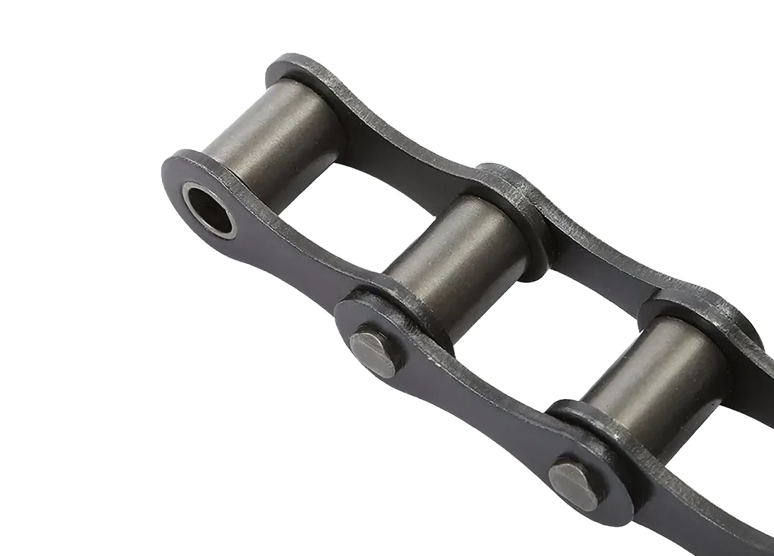 S55 Roller Chain