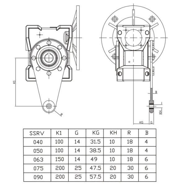 SSRV Worm Gearbox Torque Arm Image