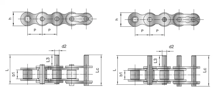 Short Pitch Conveyor Chain with Extended Pins