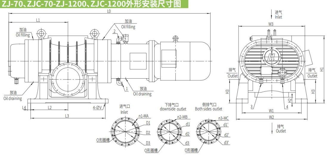 Roots Vacuum Pumps