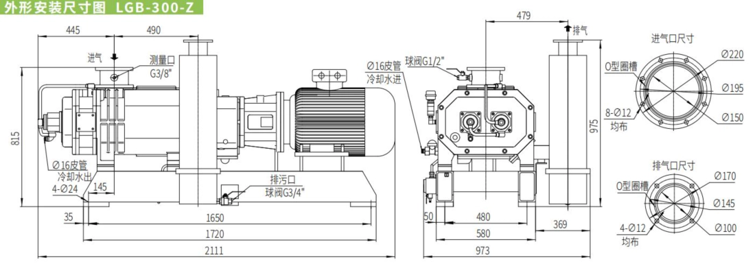 Dry Screw Vacuum Pumps
