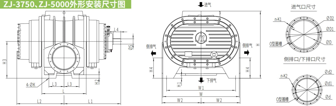 Roots Vacuum Pumps