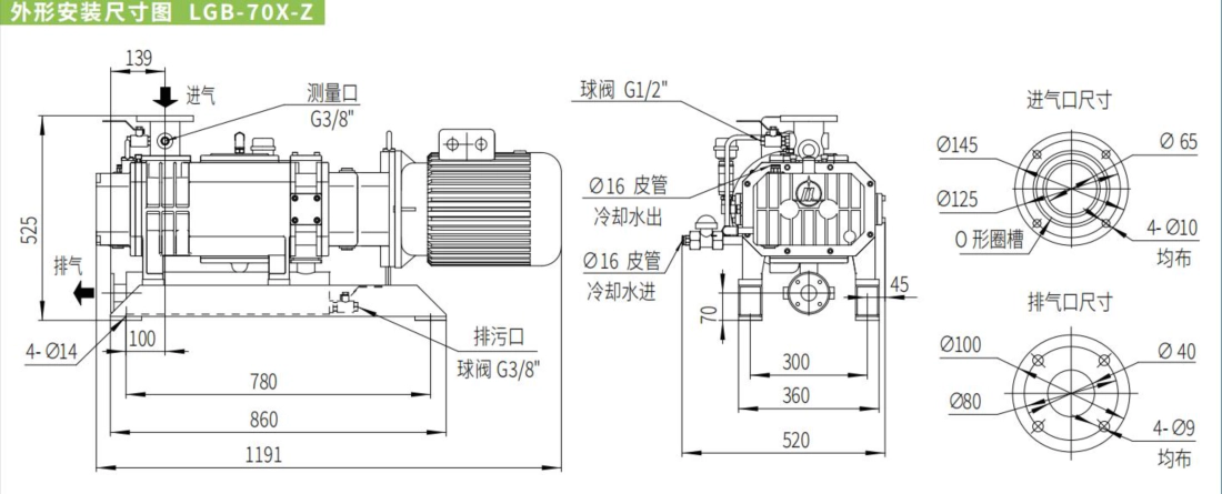 Dry Screw Vacuum Pumps