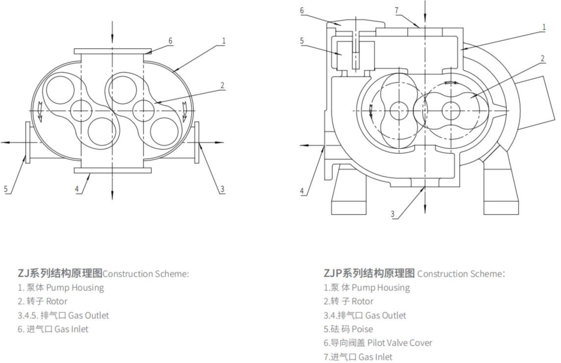Roots pump structural schematic diagram