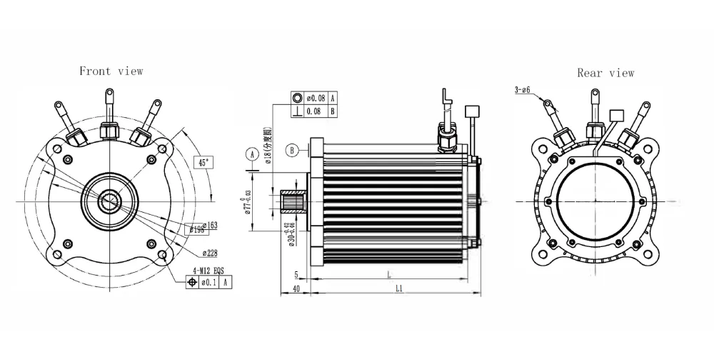 ever-power-EP-Permanent Magnet Synchronous Motor For EV-diagram